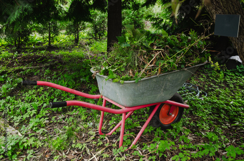 garbage cart for cleaning up garbage in the garden and garden