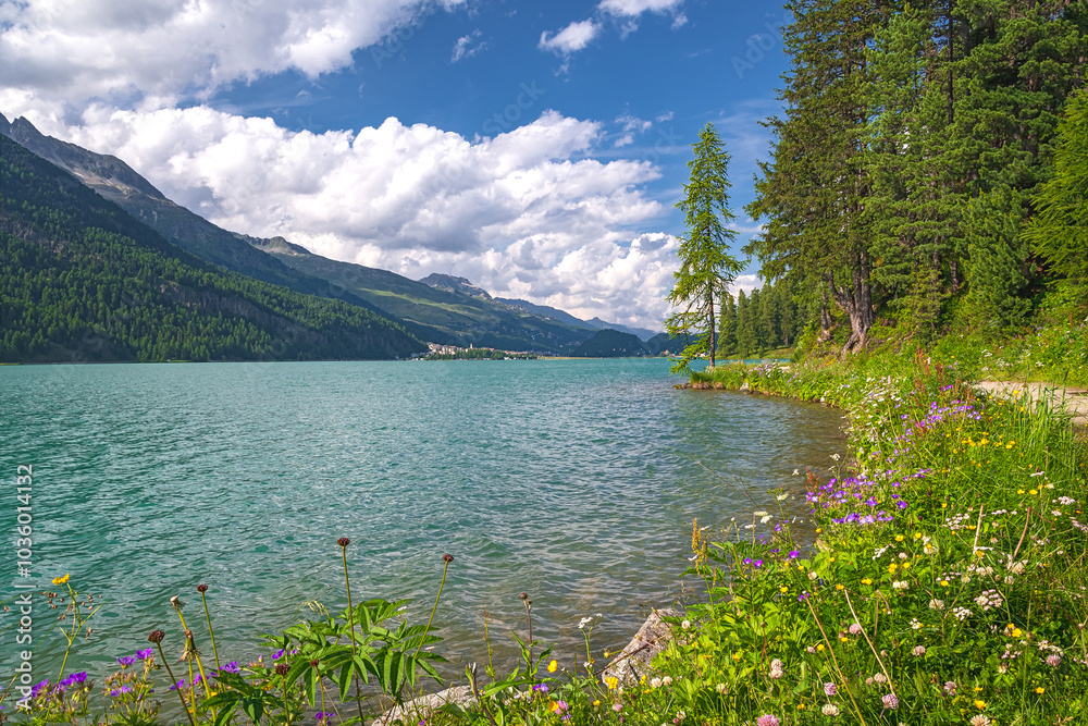 Hiking trail on the shore of Lake Silvaplana (Silvaplanersee) in the Upper-Engadine valley of Grisons, Switzerland