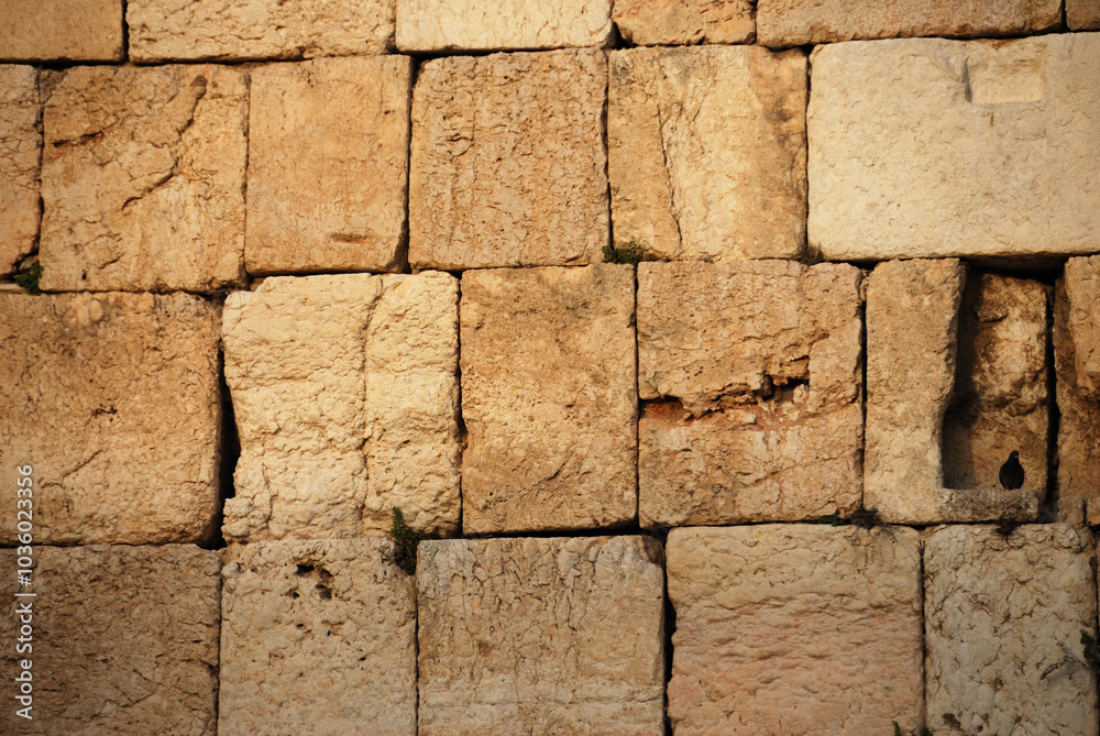 Detalle del Muro de las Lamentaciones en la ciudad antigua de Jerusalén, Israel Detalle del Muro de las Lamentaciones en la ciudad antigua de Jerusalén, Israel