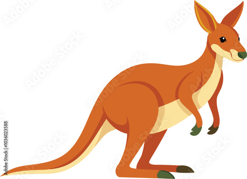 kangaroo illustration vector  photo