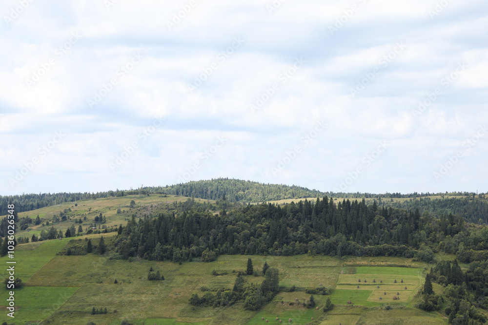 Beautiful view of forest in mountains under blue sky Beautiful view of forest in mountains under blue sky