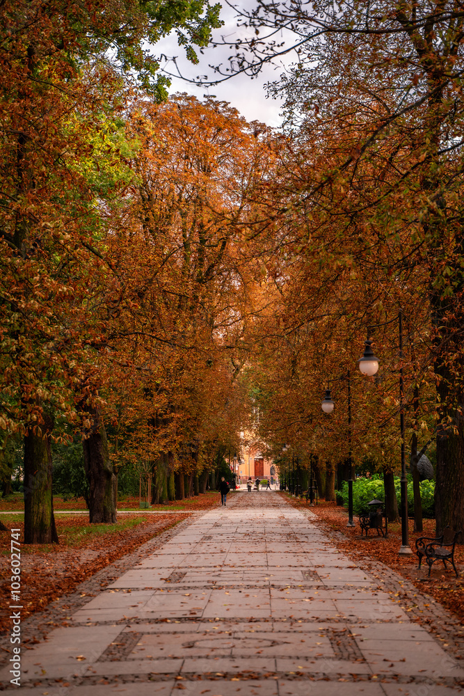 Radom