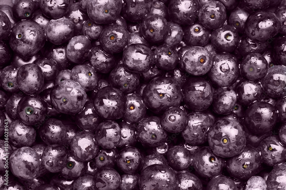 Wet acai berries as background, top view Wet acai berries as background, top view