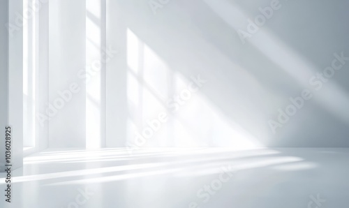 Abstract empty white and gray gradient soft light background of studio room for art work design