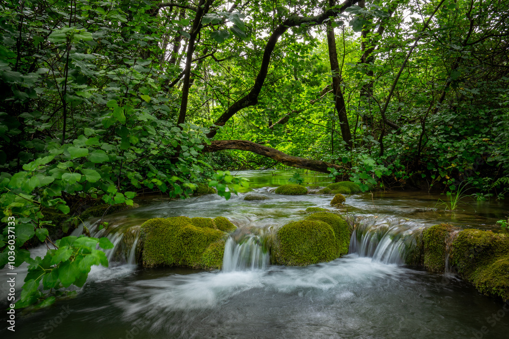 Ein Fluss fließt mitten durch einen dichten Wald mit vielen Bäumen und einigen Steinen im Wasser, die mit Moos bewachsen sind, aufgenommen im Krka Nationalpark Kroatien (Langzeitbelichtung) Ein Fluss fließt mitten durch einen dichten Wald mit vielen Bäumen und einigen Steinen im Wasser, die mit Moos bewachsen sind, aufgenommen im Krka Nationalpark Kroatien (Langzeitbelichtung)