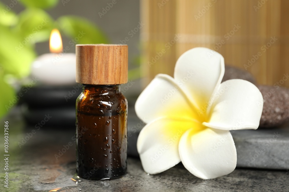 Spa composition with bottle of cosmetic product, plumeria flower and burning candle on grey table, closeup Spa composition with bottle of cosmetic product, plumeria flower and burning candle on grey table, closeup