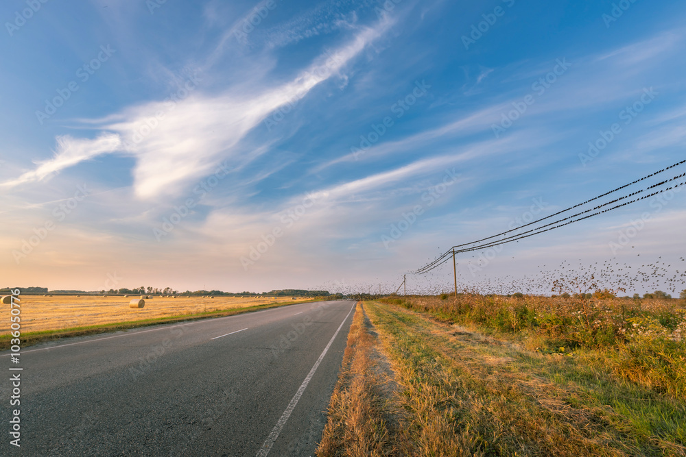 A road with a wire fence on the side and a clear blue sky A road with a wire fence on the side and a clear blue sky
