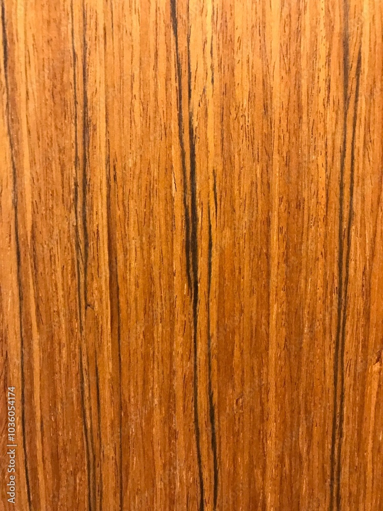 Naklejka premium Wood texture. Architecture material. Wood background