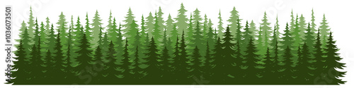 Forest fir trees silhouette. Coniferous spruce horizontal background. 