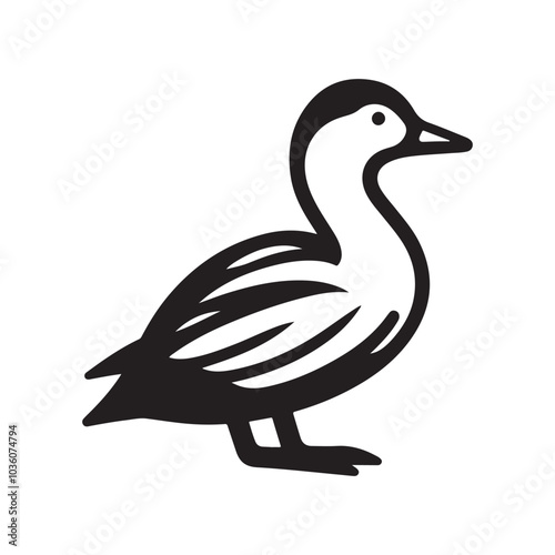 Common Eider Silhouette Vector Illustrations for Stunning Graphic Designs