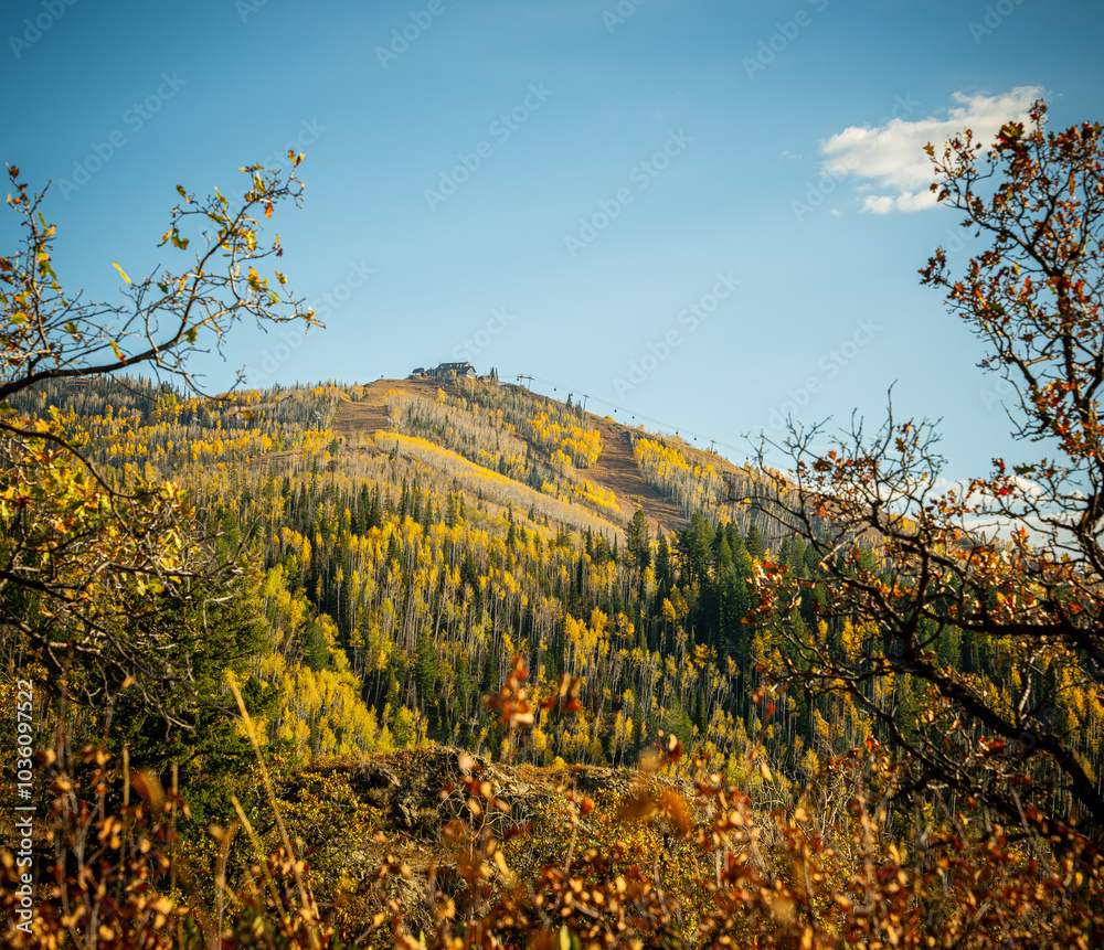 Fototapeta premium autumn in the mountains