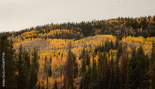 autumn in the mountains