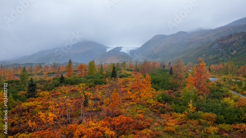 Colorful fall trees and conifers along Richardson highway near Valdez