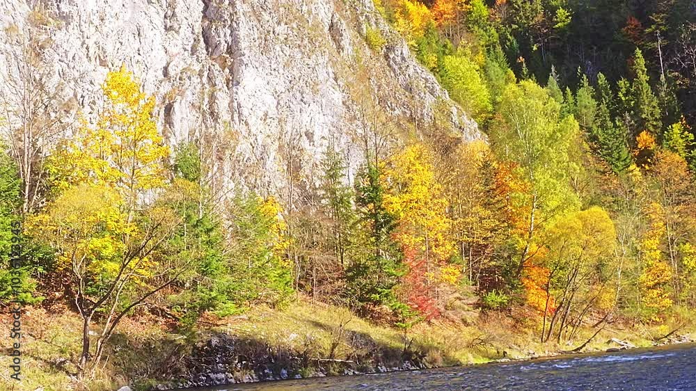 Serene mountain landscape featuring autumn-colored trees as seen from the raft navigated by the local keelman along Dunajec river gorge, Pieniny, Poland Serene mountain landscape featuring autumn-colored trees as seen from the raft navigated by the local keelman along Dunajec river gorge, Pieniny, Poland