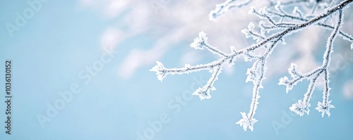 Snowflakes landing on ice-covered branches, frozen winter elegance