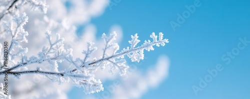 Snowflakes on a frosty tree branch, peaceful winter landscape