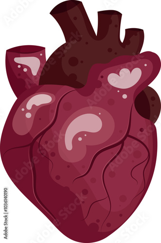 Medical heart, anatomy, valentine's day. Heart clipart. Cardio system. Vector illustration. 