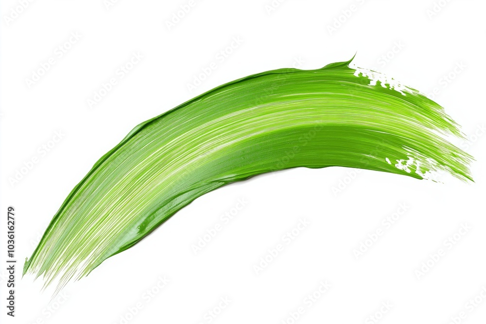 Brushstroke of green paint with smooth texture on a white background Brushstroke of green paint with smooth texture on a white background