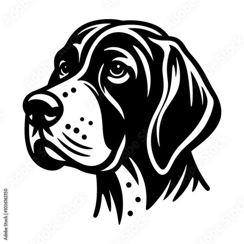 German Shorthaired Pointer Portrait