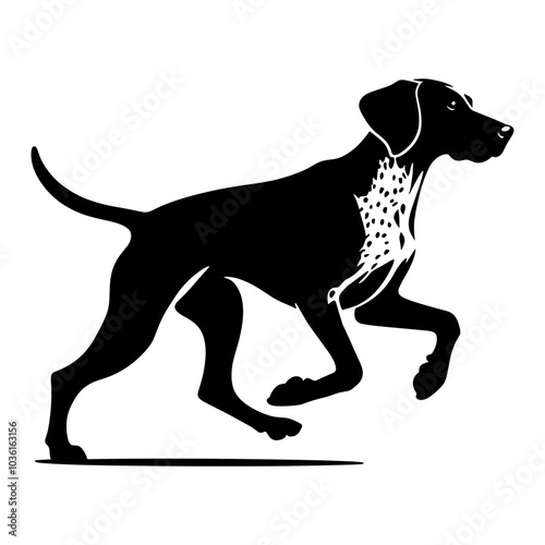 German Shorthaired Pointer Running