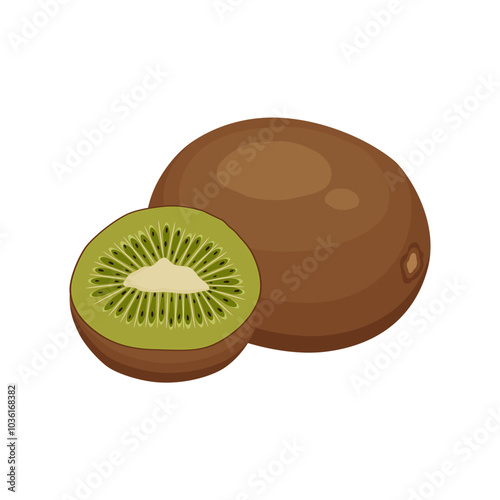 Ripe kiwi fruit icons on a white background. Vector illustration.