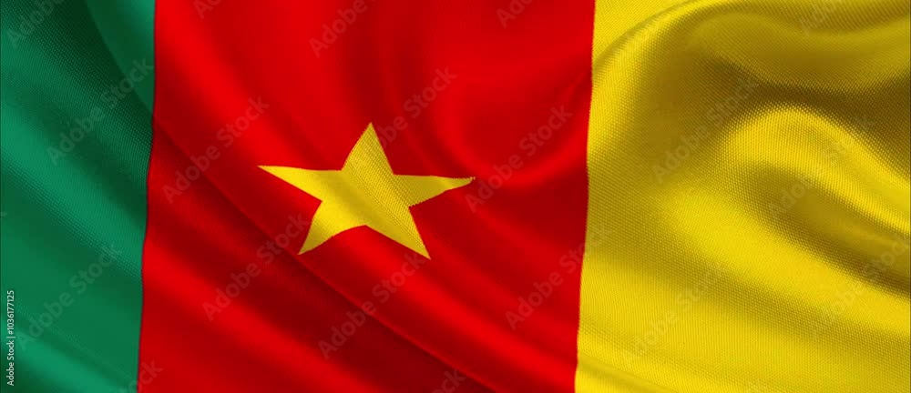 Cameroon national flag textile fabric waving Cameroon national flag textile fabric waving