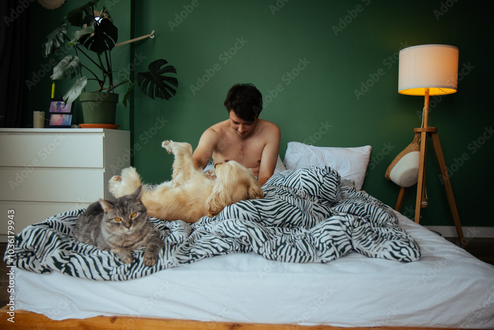 In a cozy morning scene, a young man relaxes in bed with a fluffy gray cat next to him, gently petting a golden dog. This image captures warmth and the joy of pet companionship.