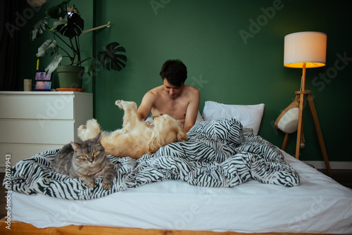 Obraz na płótnie In a cozy morning scene, a young man relaxes in bed with a fluffy gray cat next to him, gently petting a golden dog. This image captures warmth and the joy of pet companionship. w salonie