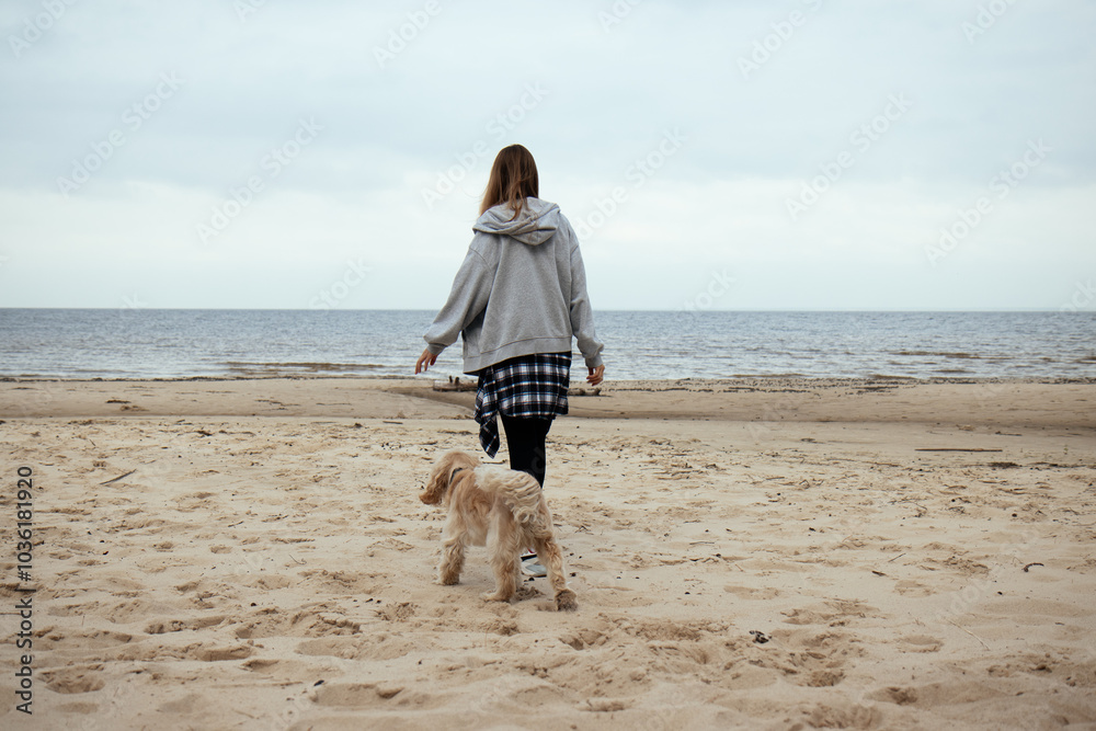 Walking on a serene autumn beach, a girl dressed in a cozy gray hoodie and plaid shirt tied at her waist enjoys the companionship of her Cocker Spaniel, embracing nature’s beauty.
