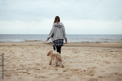 Obraz na płótnie Walking on a serene autumn beach, a girl dressed in a cozy gray hoodie and plaid shirt tied at her waist enjoys the companionship of her Cocker Spaniel, embracing nature’s beauty. w salonie