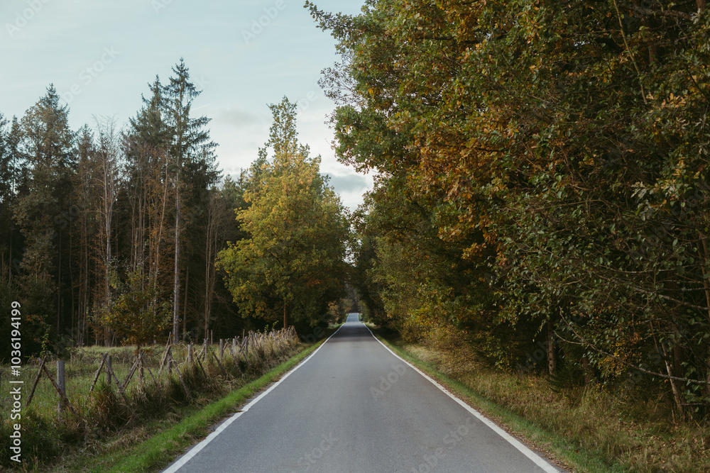 Fototapeta premium A quiet autumn landscape with a road and trees