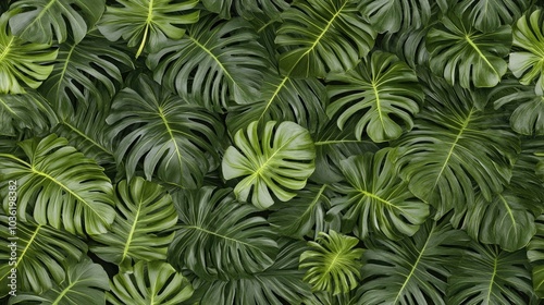 Wallpaper Mural A vibrant arrangement of green palm leaves creating a seamless tropical pattern set against a contrasting black background Torontodigital.ca