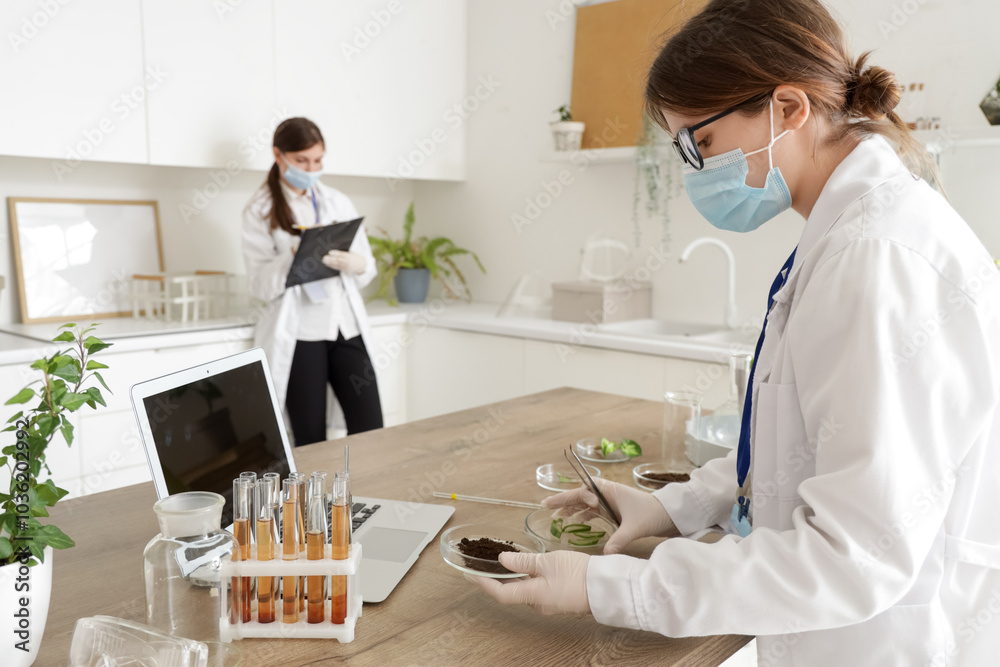 Female scientist working with Petri dishes at table in laboratory Female scientist working with Petri dishes at table in laboratory