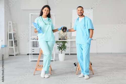 Veterinarian team with pug ...