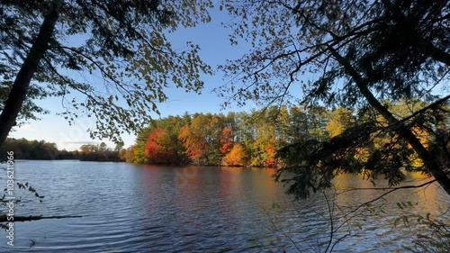Autumn Breeze in Riverside Trees