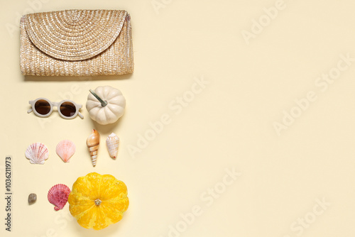 Bag with sunglasses, seashe...