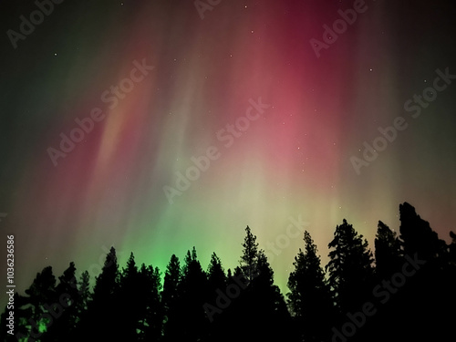 Dancing Northern Lights