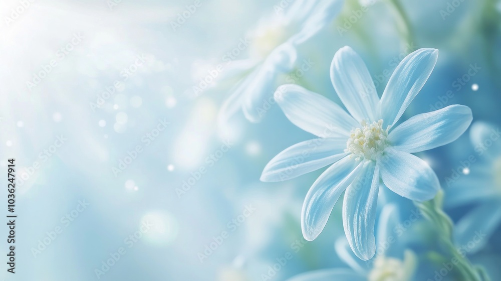 Naklejka premium Delicate Blue Flower with Soft Background