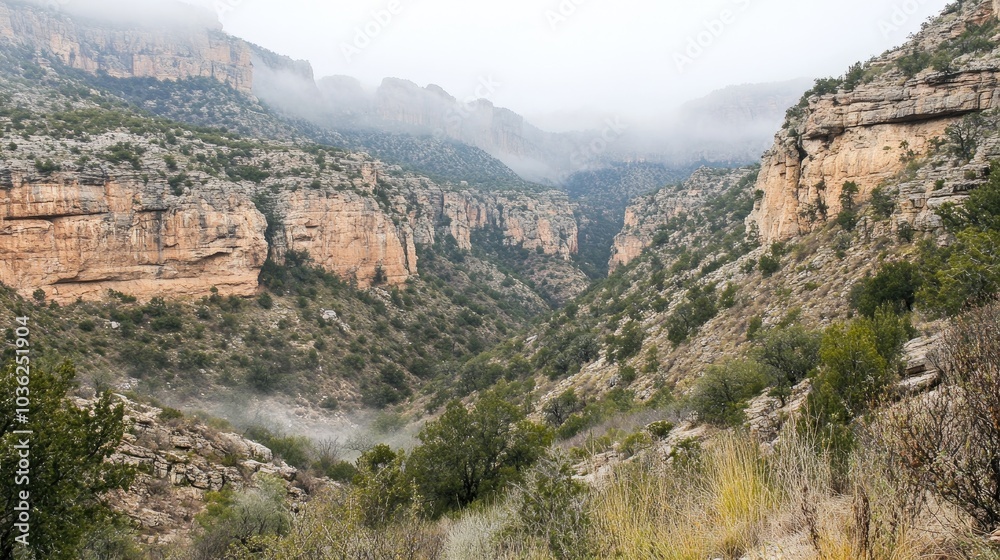 Scenic Canyon Landscape with Misty Mountains