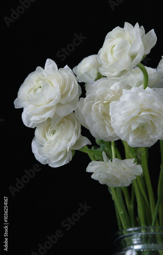 Ranunculus flower