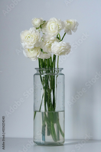 Ranunculus flower