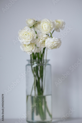 Ranunculus flower