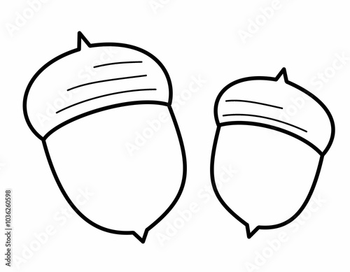 ドングリ２(大小線画)