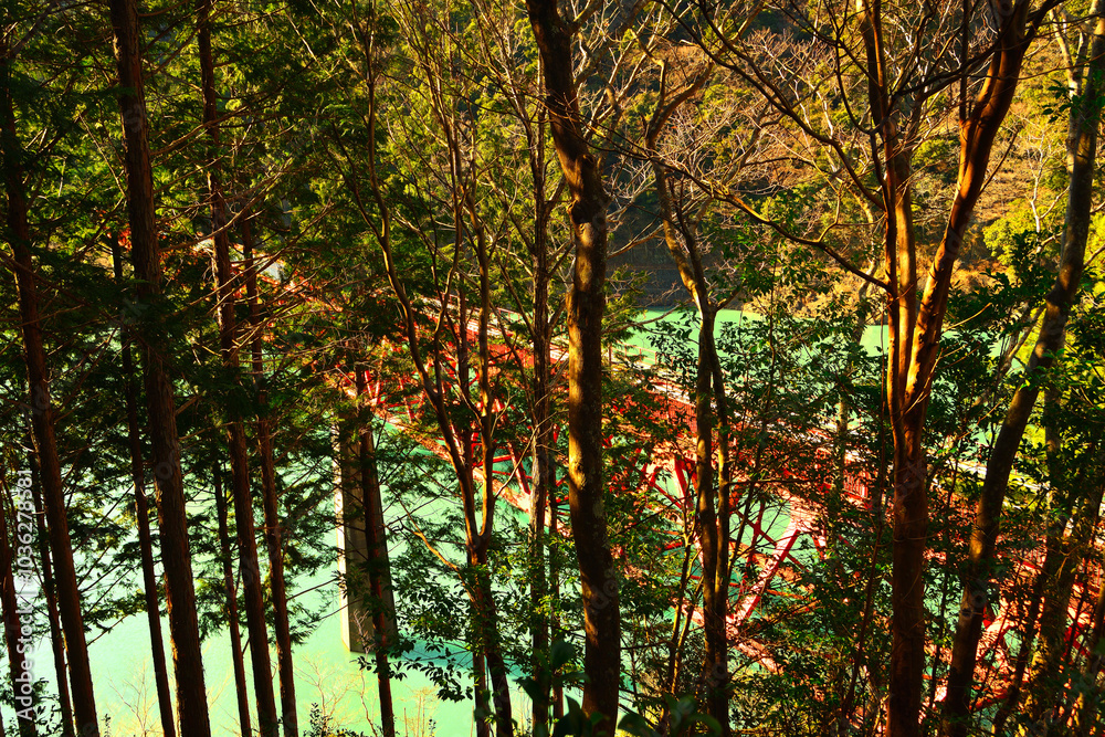 Obraz premium 奥大井湖上駅付近 静岡県榛原郡川根本町犬間 