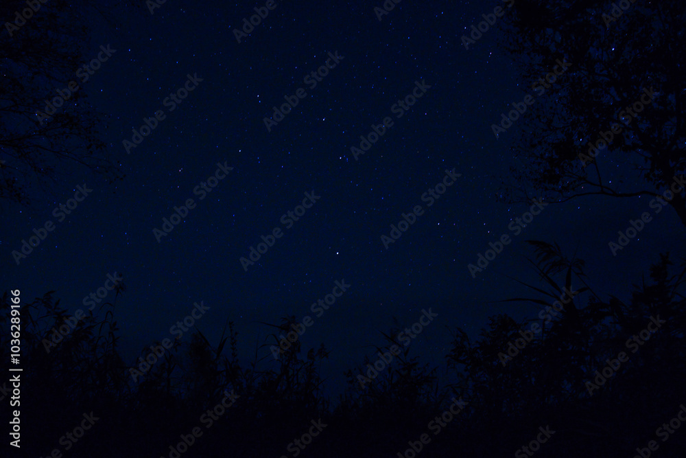 Naklejka premium 尾瀬の星空