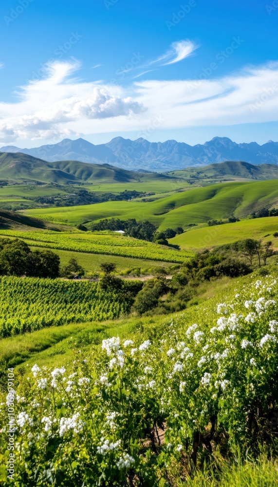 Lush green hills adorned with flowers and mountains in the background create a picturesque landscape under a clear blue sky. Lush green hills adorned with flowers and mountains in the background create a picturesque landscape under a clear blue sky.