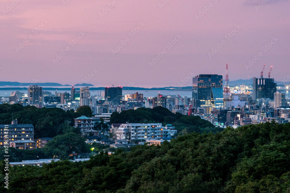 Obraz premium 福岡市内夕景