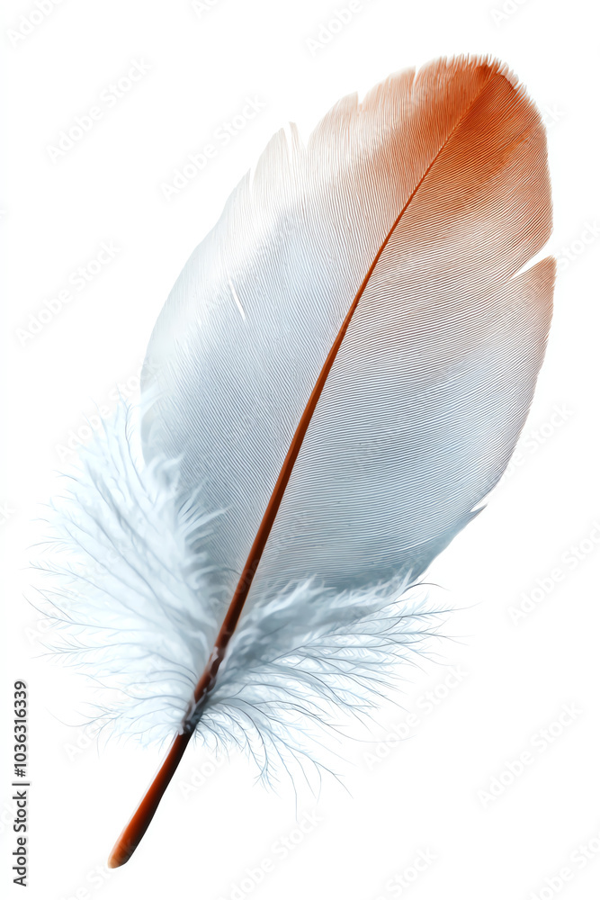Elegant feather artistry a beautiful blend of nature’s textures and colors Elegant feather artistry a beautiful blend of nature’s textures and colors