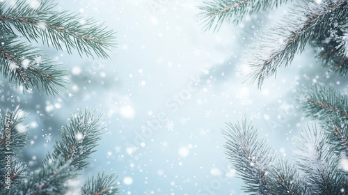 Winter Wonderland Background with Pine Branches and Snowflakes