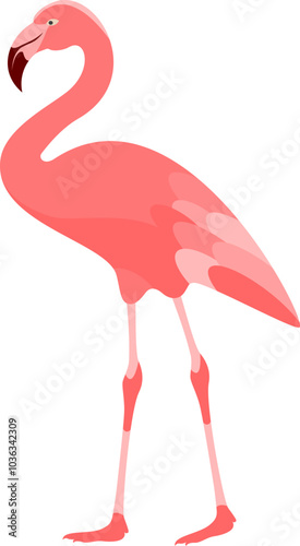 flamingo